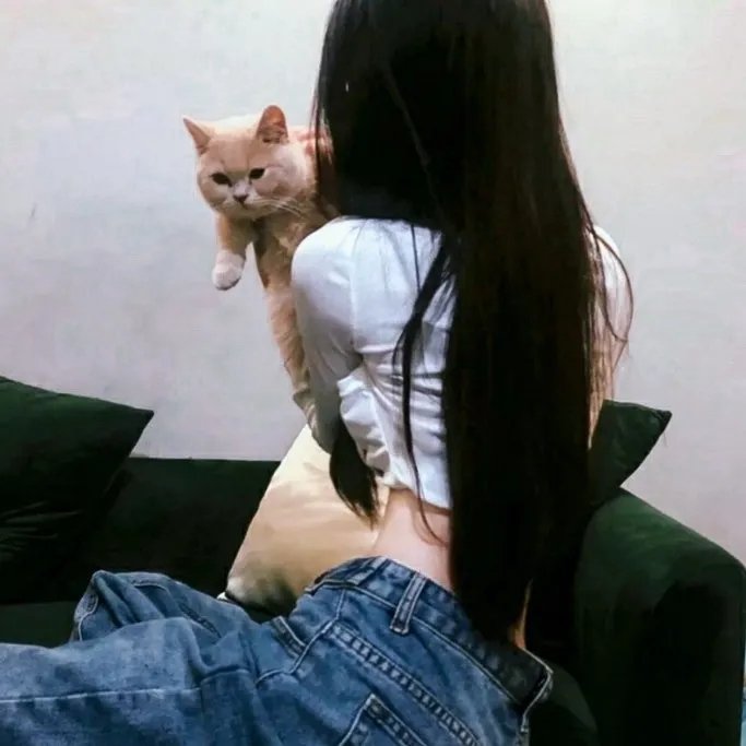 可怜的东西海报